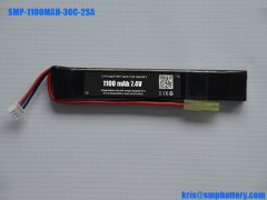 LiFePO4 battery