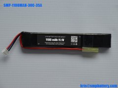 LiFePO4 battery